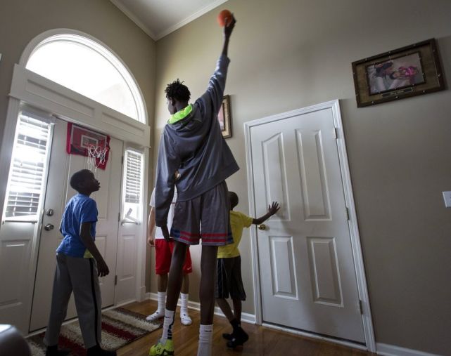 法国乒乓球队鏖战奥地利乒乓球队，波尔制霸全场的简单介绍