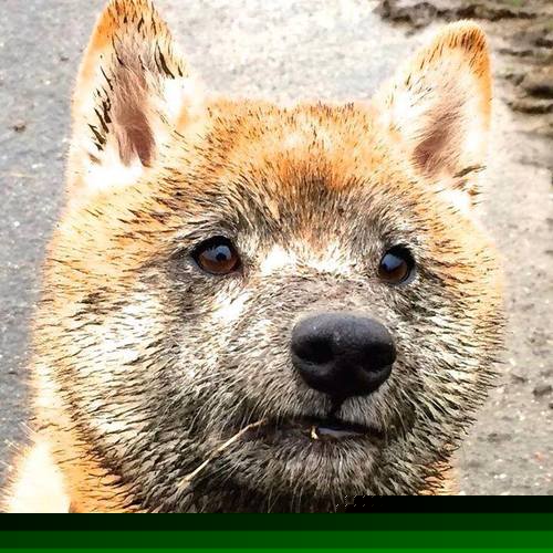 开云体育app-世界排名争夺战焦点，尼克斯巅峰对决胜出独行侠