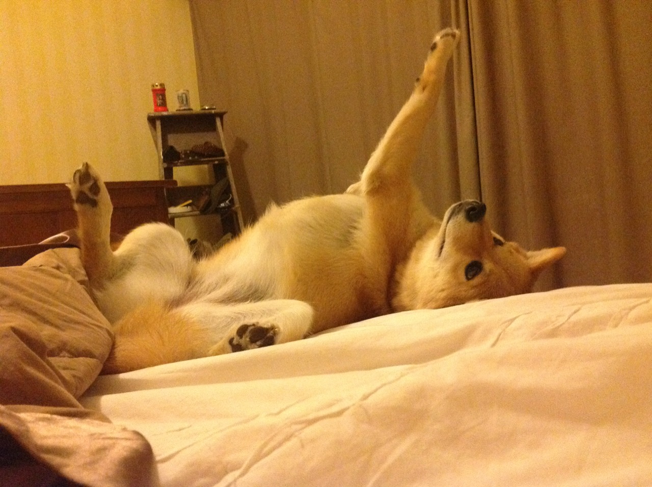 乔治封喉一击，拯救雷霆的制胜英雄