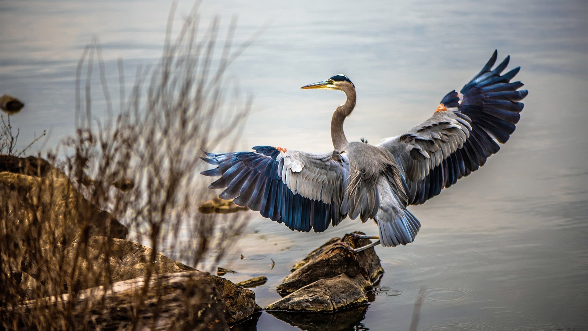 终场蜂鸣器前的凝视，凯塞多如何让今夜的时间静止
