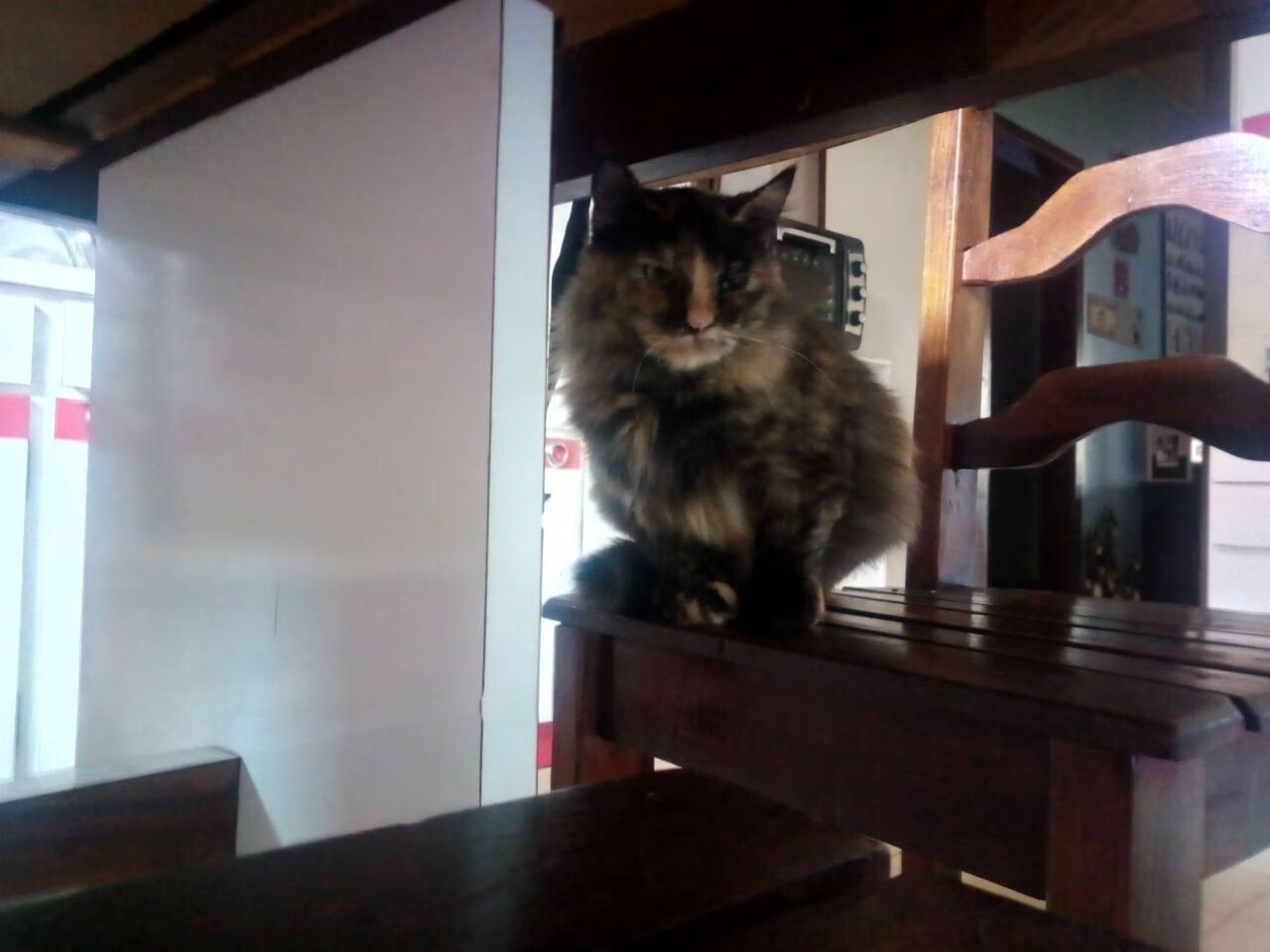 风暴眼中，切特爆发的夜晚与浙江队压制的艺术