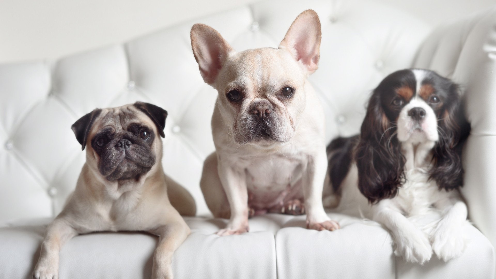 从迷失到主宰,拉梅洛的救赎之夜