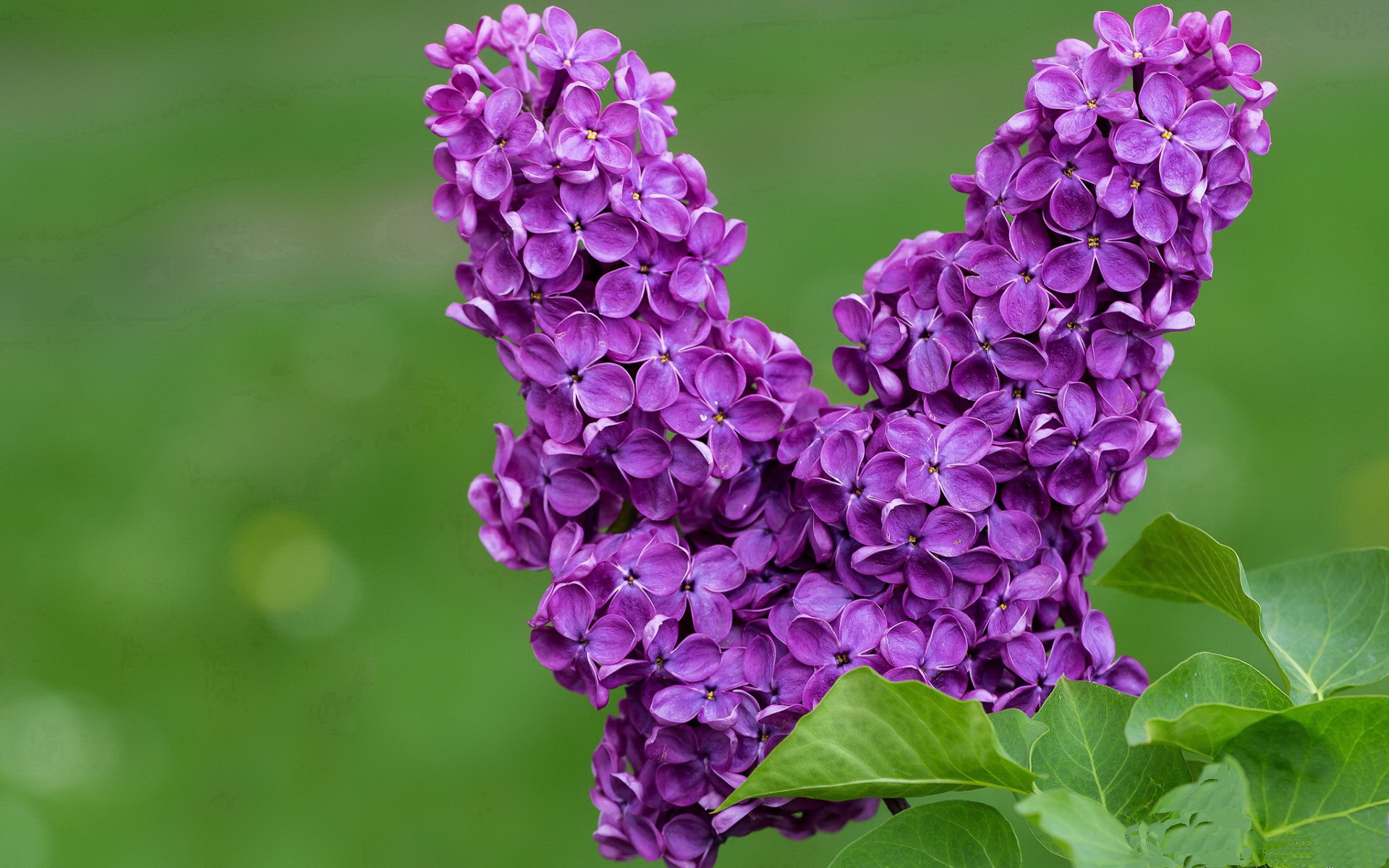 欧冠淘汰赛之夜，帷幕之后，斯通斯奏响节奏的无声乐章