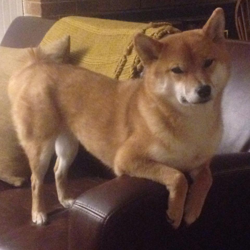 开云体育-鏖战苏黎世，阿圭罗绝境救主，红魔血脉终觉醒