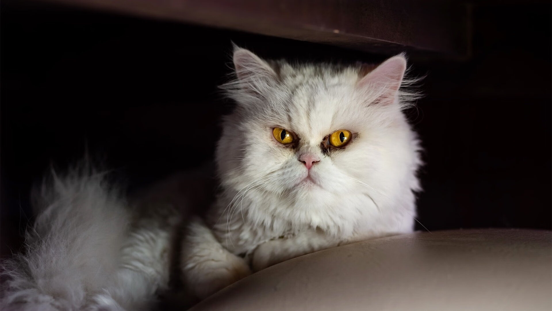 开云体育app-德罗赞末节15分一手掌控比赛走势，黄蜂爆冷轻取雄鹿