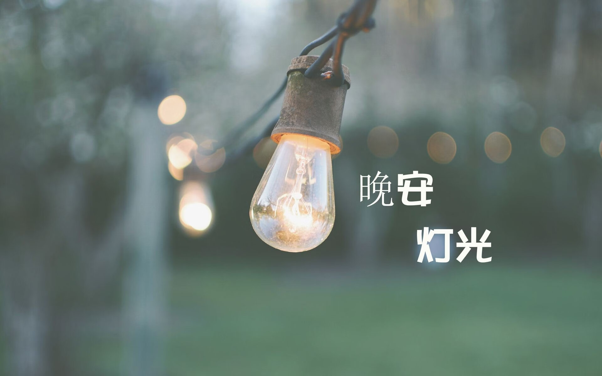 黑马之姿与王者之盾,2026世界杯F组伊拉克爆冷逼平西班牙,久保建英导演战术奇迹