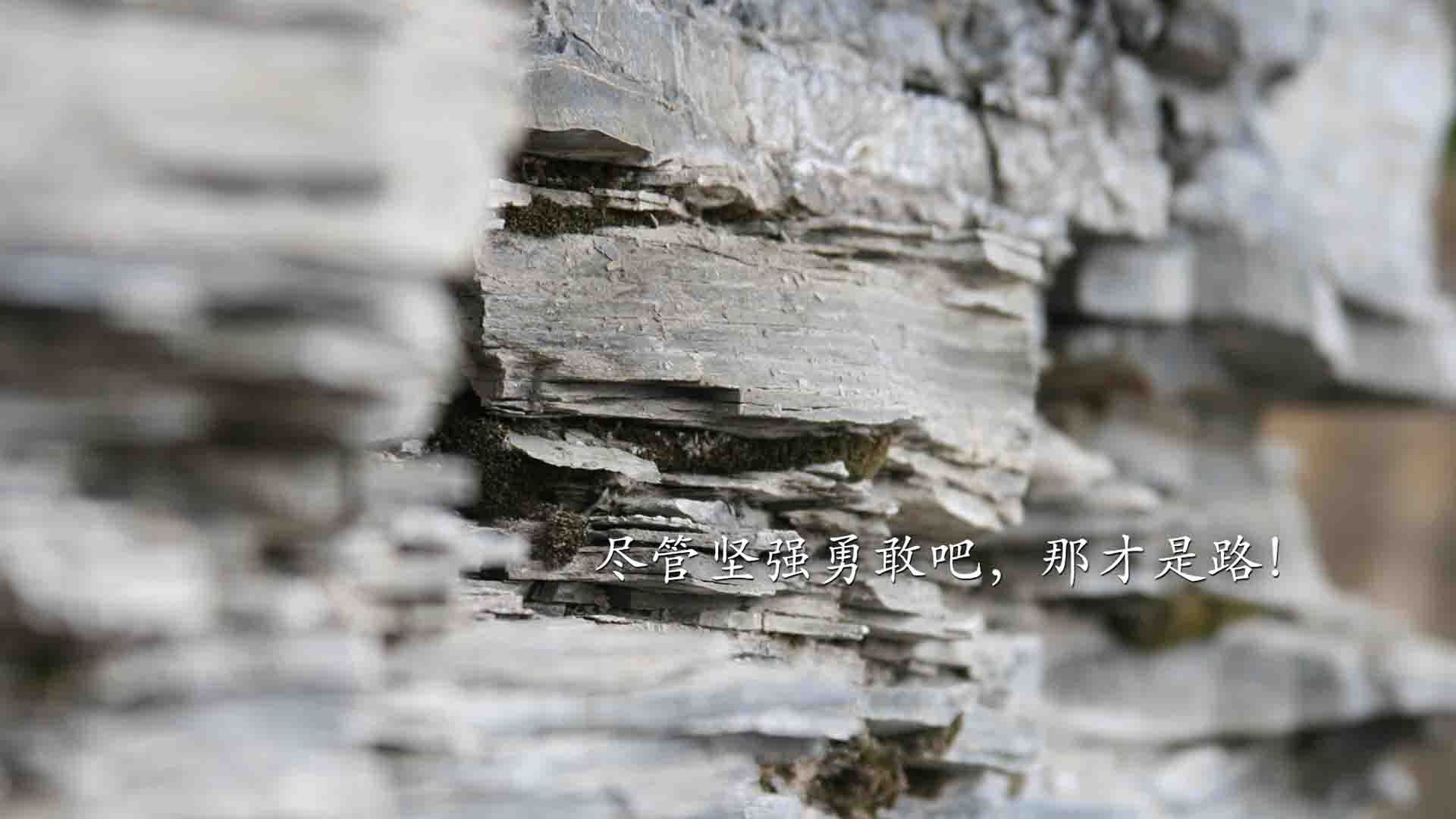 开云体育APP下载-沙漠风暴席卷赛场，沙特逆转印度，奥斯梅恩致命一击书写2026世界杯经典