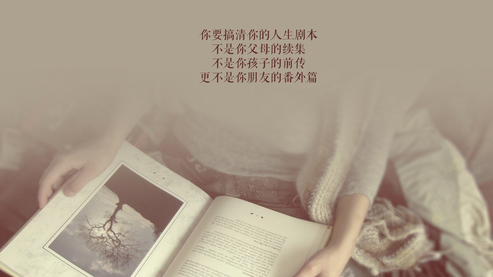 北欧风暴席卷绿茵,丹麦4-0横扫哥斯达黎加,德布劳内大师级表现主导F组焦点战