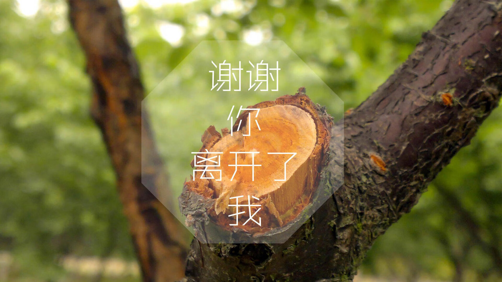 绝地反击，2026世界杯G组关键战，意大利力克比利时，范戴克领袖风范助橙衣军团取胜